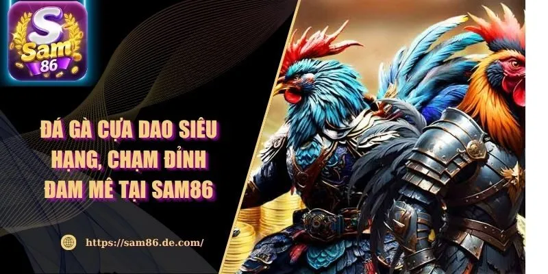 Đá Gà Cựa Dao Siêu Hạng, Chạm Đỉnh Đam Mê Tại Sam86